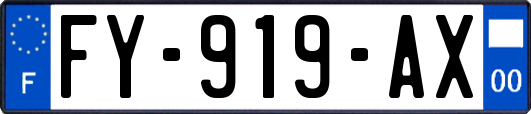 FY-919-AX