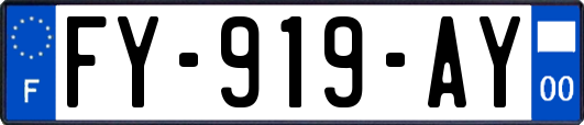 FY-919-AY