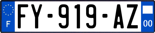 FY-919-AZ