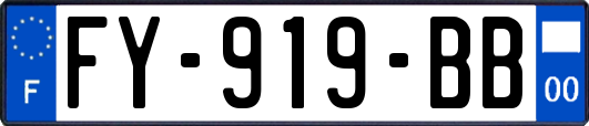FY-919-BB
