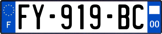 FY-919-BC