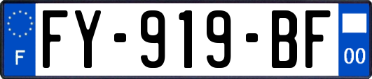 FY-919-BF