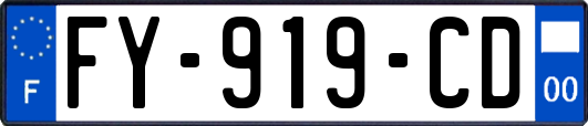 FY-919-CD