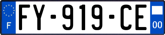 FY-919-CE
