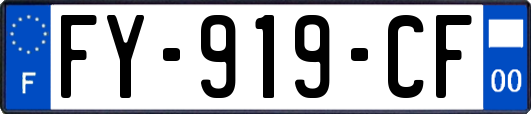 FY-919-CF