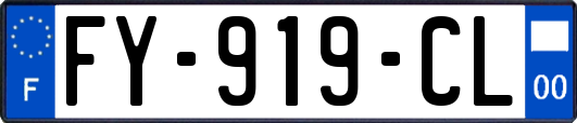 FY-919-CL