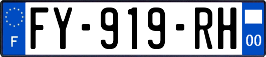 FY-919-RH