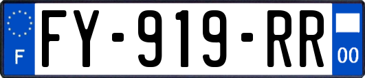 FY-919-RR