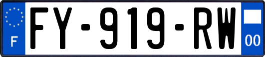 FY-919-RW