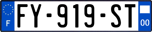 FY-919-ST