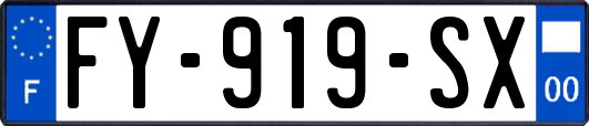 FY-919-SX
