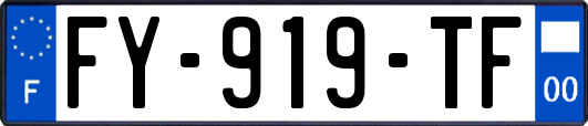 FY-919-TF