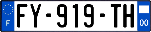 FY-919-TH