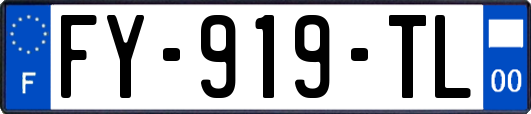 FY-919-TL