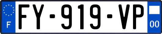 FY-919-VP
