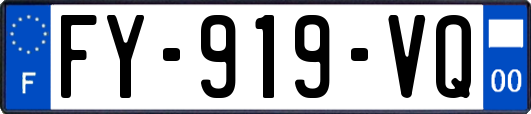 FY-919-VQ