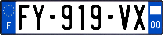 FY-919-VX