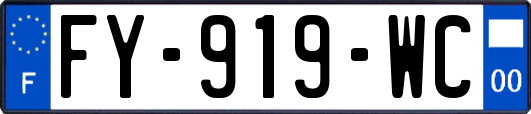 FY-919-WC