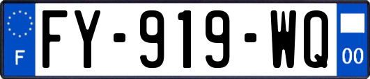 FY-919-WQ