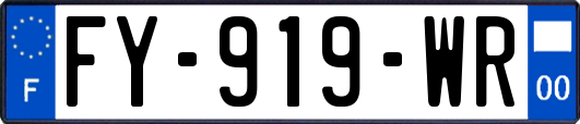 FY-919-WR