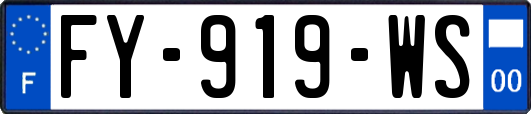 FY-919-WS