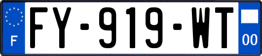 FY-919-WT