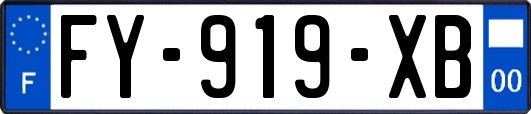 FY-919-XB