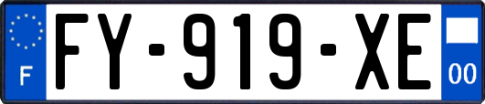 FY-919-XE
