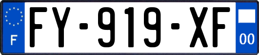 FY-919-XF