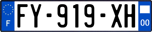 FY-919-XH