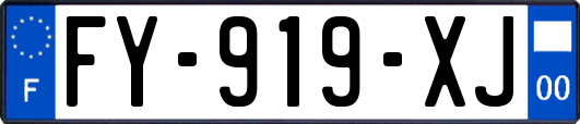 FY-919-XJ