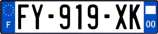 FY-919-XK