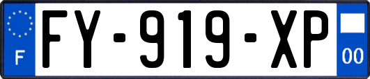 FY-919-XP
