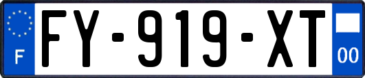 FY-919-XT
