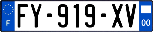 FY-919-XV