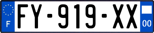 FY-919-XX