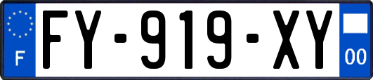 FY-919-XY