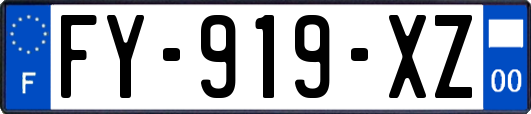 FY-919-XZ