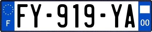 FY-919-YA