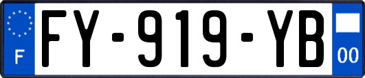 FY-919-YB
