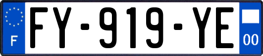 FY-919-YE