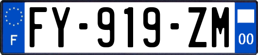 FY-919-ZM