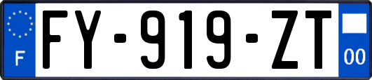 FY-919-ZT
