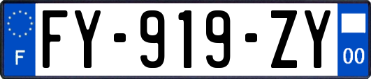 FY-919-ZY