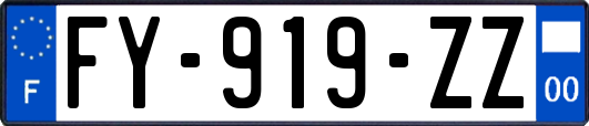 FY-919-ZZ
