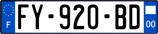FY-920-BD