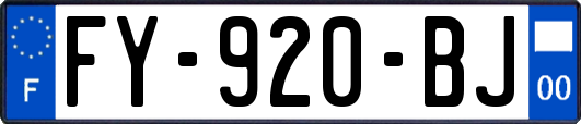 FY-920-BJ