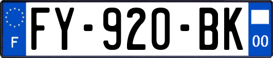 FY-920-BK