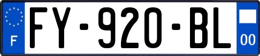 FY-920-BL