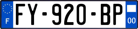 FY-920-BP